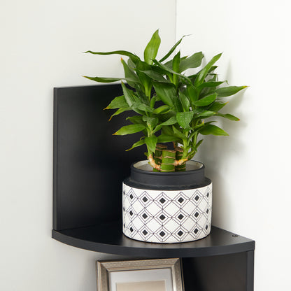 VASAGLE Corner Shelf, 5-Tier Floating Wall Shelf Black