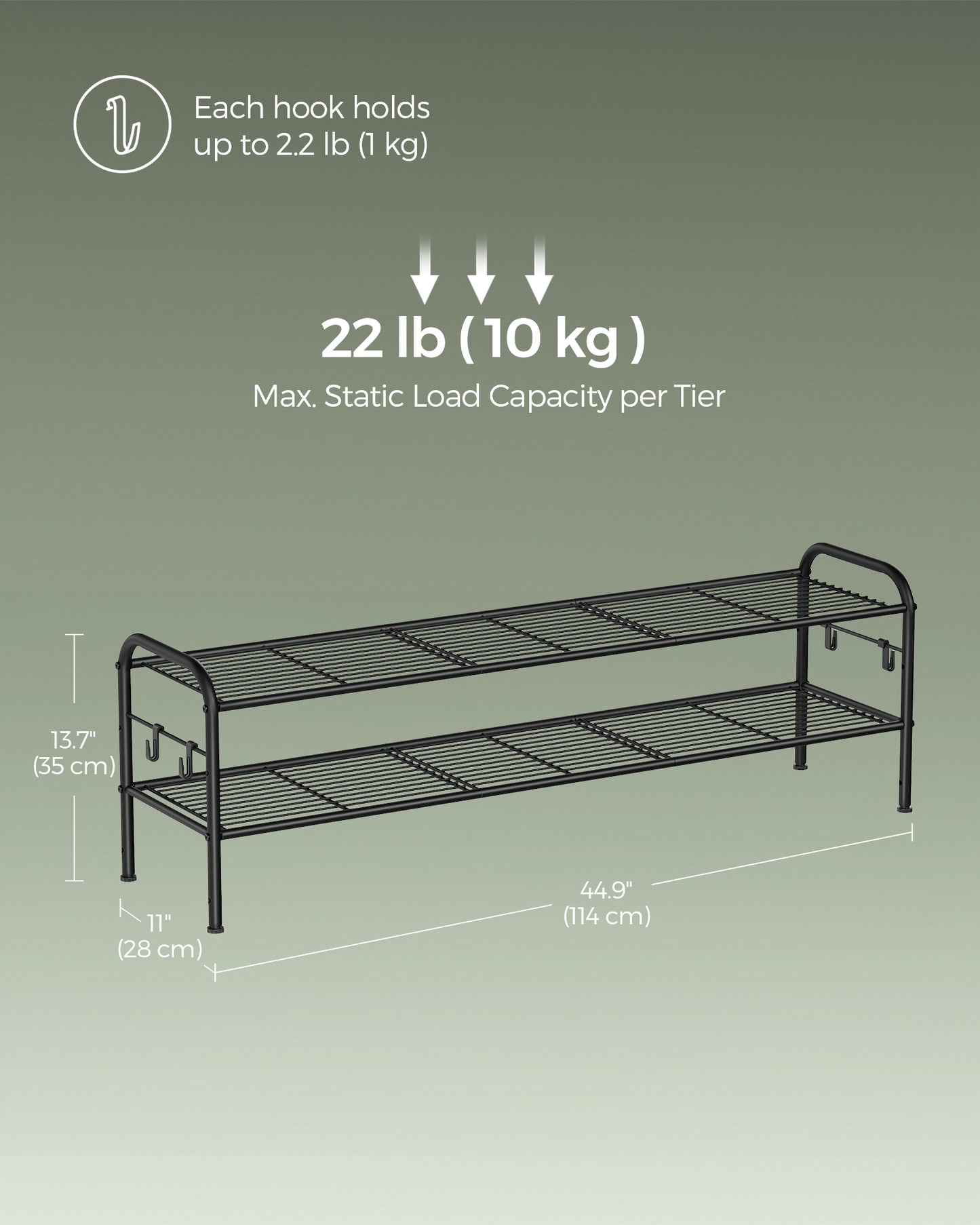 Shoe Rack, 2-Tier Shoe Organizer, Metal Shoe Shelf Storage with 4 Side Hooks, Holds 12 Pairs of Shoes