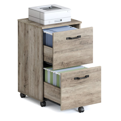 2-Drawer File Cabinet, Small Rolling Filing Cabinet with Lockable Casters, Printer Stand for Home Office, Heather Greige