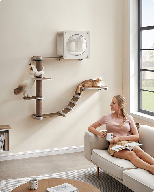 Clickat Oasis - Cat Wall Furniture, Set of 5, Cat Wall Shelf, Wall-Mounted Cat Hammock, Scratching Post, Cave, Extremely Quick Assembly, Unlimited Expandability, Replaceable Module and Parts