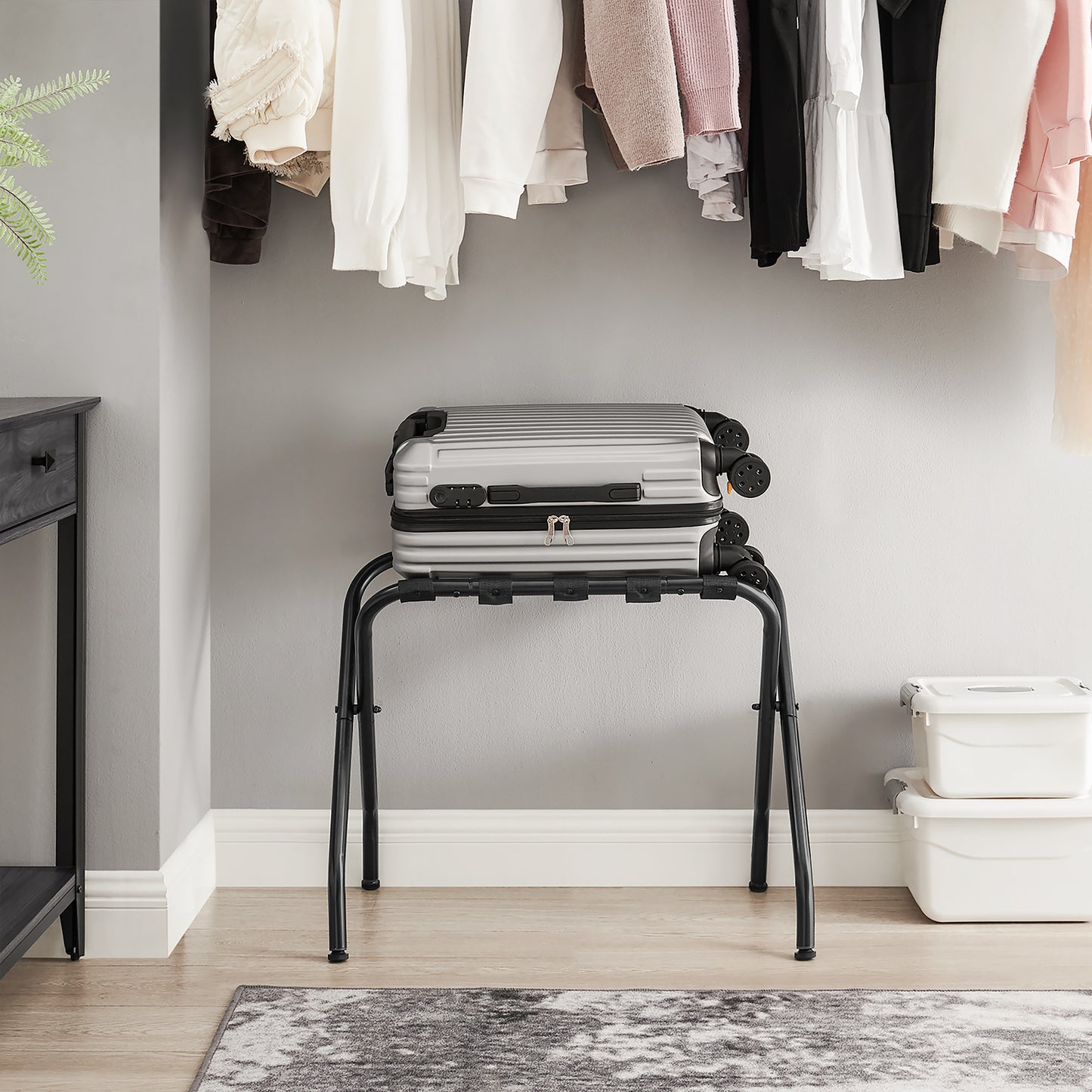 Luggage Rack Folding Suitcase Stand Suitcase Rack Holds up to 110 lb for Bedroom Hotel Black